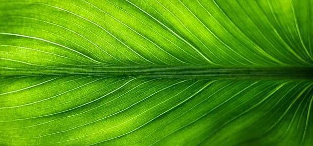 Les meilleures pratiques pour une expédition écoresponsable