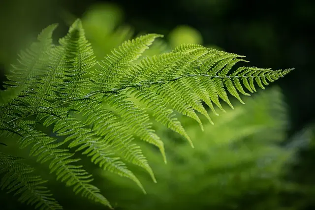 10 astuces pour une expédition écoresponsable réussie